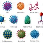 Diagram showing different kinds of viruses