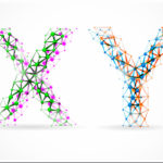 xy-chromosomes (1)
