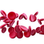 296802877-hemoglobin-bloodstream-fysiology-red-blood-cell