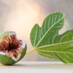 fig