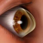 Adobe-Spark-20-1068×559