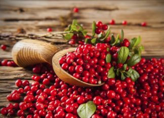 Екстрактот од брусница ги прави бактериите почувствителни на антибиотици