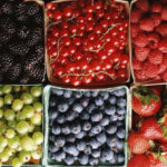 berry