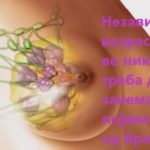 fkm_molochnyh_zhelez