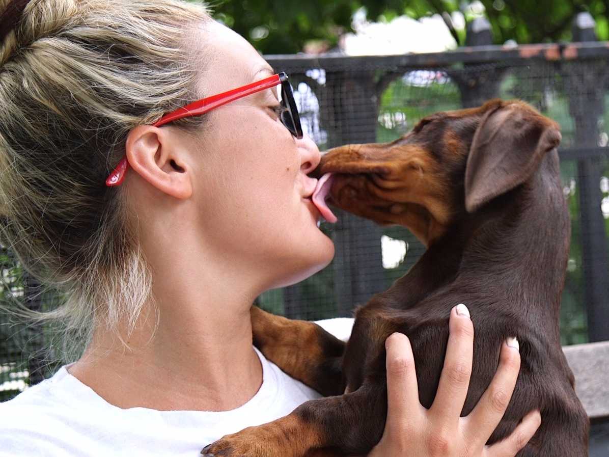 Лизание собаки. Собака облизывает. Поцелуй с собакой. Собака целует. Девушка целует собаку.