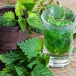 nettle-kopriva