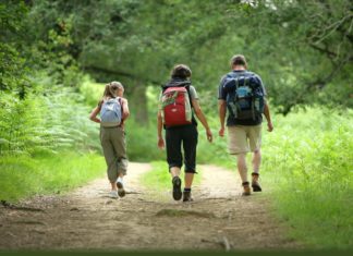 Зошто шетањето во шума е добро за здравјето