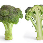 Broccoli_and_cross_section_edit