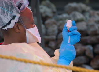 Еболата е излечива болест?!