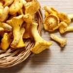 Cantharellus cibarius, commonly known as the chanterelle,