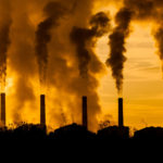 factory plants