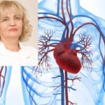 Fotolia_Herz-Kreilsauf_M-1024×726