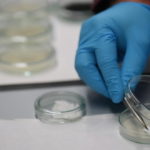 Interdisciplinary Laboratory of Conservation Research and Analysis in Warsaw
