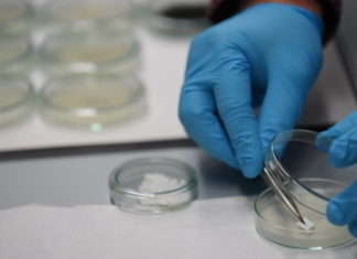 Откриена нова бактерија СУПЕРУБИЕЦ!