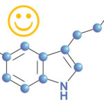 serotonin