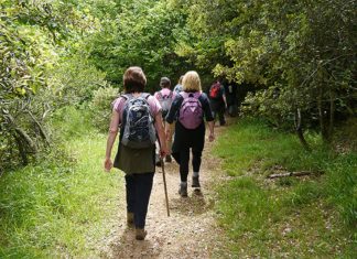 Лекува многу болести: Во шетањето се крие половина здравје