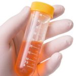 gloved hand keeps the filled sample tube, the vial is filled with a yellow liquid. Isolated on white