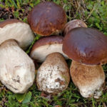 20180917165203_497960