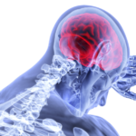 brain-3168269_1920-e1541921041986