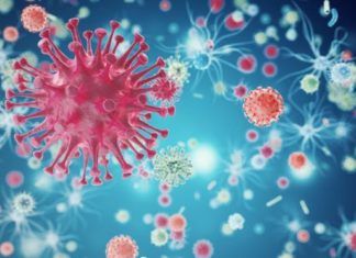 ХИВ конечно под контрола – белгиски научници откриле каде се крие вирусот!