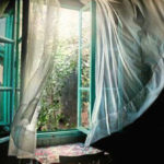 kgn-img-444243