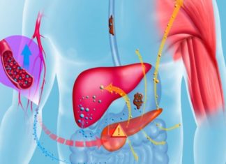 10 најчести симптоми кои укажуваат на неизлечива болест