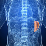 spleen_1