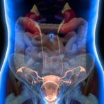 ultrazvuk-abdomena-01