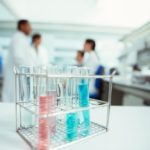 369685_laboratorija_ff