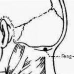 feng-fu