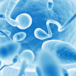 keywordsuggest.org-Sperm-Health