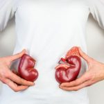 Woman holding model kidney halves at body