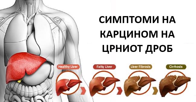 4play pod drobnogledom mladih kritikov 