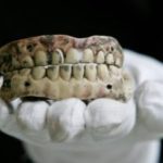 FORENZIKA 5