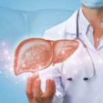 Doctor shows liver in hand .