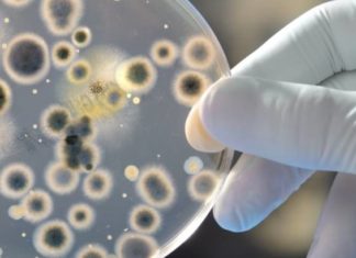 Што знаеме за вирусите – како се шират и зошто некогаш се толку опасни?