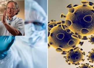 Нобеловецот кој точно го предвиде текот на епидемијата во Кина има нова прогноза: „Ситуацијата во жариштата на епидемијата помалку се менува, сè ќе биде добро“