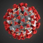 c0481846-wuhan_novel_coronavirus_illustration-spl