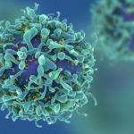 10-Blog-Cells-L