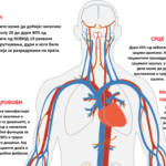 human-body-311864