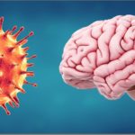 Covid-brain-crop