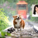 dog-4415649_1280