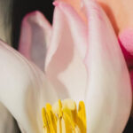 Screenshot_8
