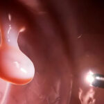 Screenshot_8