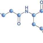 karnozin