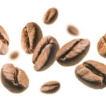 kafe 5