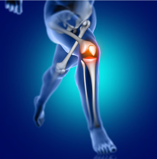 Нашите колена се направени од коски, тетиви и 'рскавица. На тетивите и на 'рскавицата им е потребно подмачкување, што е улогата на синовијалната течност во зглобот - им помага на колената да се движат непречено и го намалува триењето.