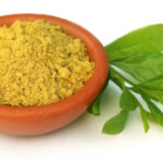 curry plant