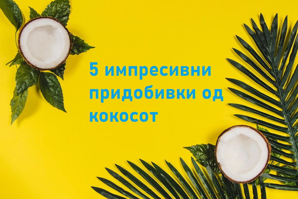 wepik-export-20230514161444JG2T