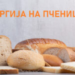 ПЧЕНИЦА77